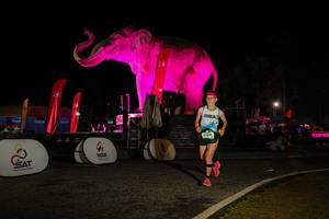 BIB: 
                            <button type="button" onclick="openModal(26534175)" class="btn btn-primary btn-sm float-right btn-popup" data-toggle="modal" data-target=".modal-high-quality">
                        <i class="fas fa-shopping-cart"></i> Add to Cart
                    </button>
                                            <button type="button" onclick="isThisMe(26534175, true)" class="btn btn-success btn-sm float-right btn-popup btn-isme hidden" data-toggle="tooltip" data-placement="bottom" title="นี่คือรูปของคุณใช่ไหม คลิกที่นี่เพื่อเอาเข้าอัลบั้ม">
                        <i class="fas fa-plus"></i> Add to album
                    </button>
                    <button type="button" onclick="isThisMe(26534175, false)" class="btn btn-warning btn-sm float-right btn-popup btn-isnotme hidden">
                        <i class="fas fa-ban"></i> Remove from album
                    </button>